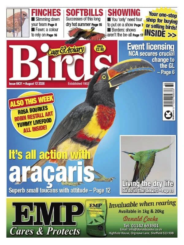 Cage & Aviary Birds - 12 August 2026