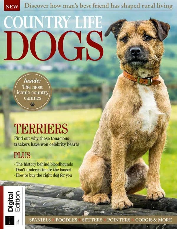 Country Life Dogs - 5th Edition 2026