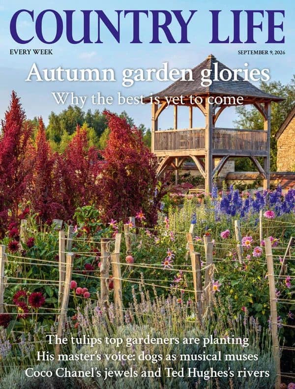 Country Life UK - 9/15 September 2026