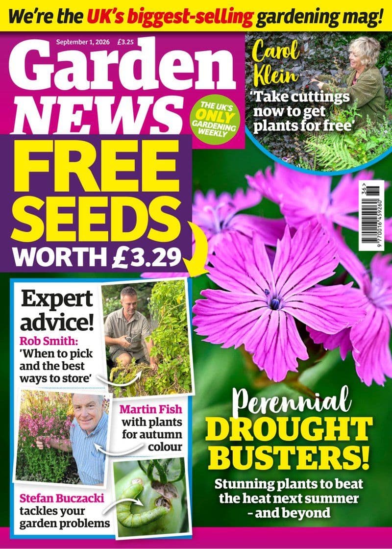 Garden.News.September.01.2026.RETAIL.MAGAZINE.eBook-21A1