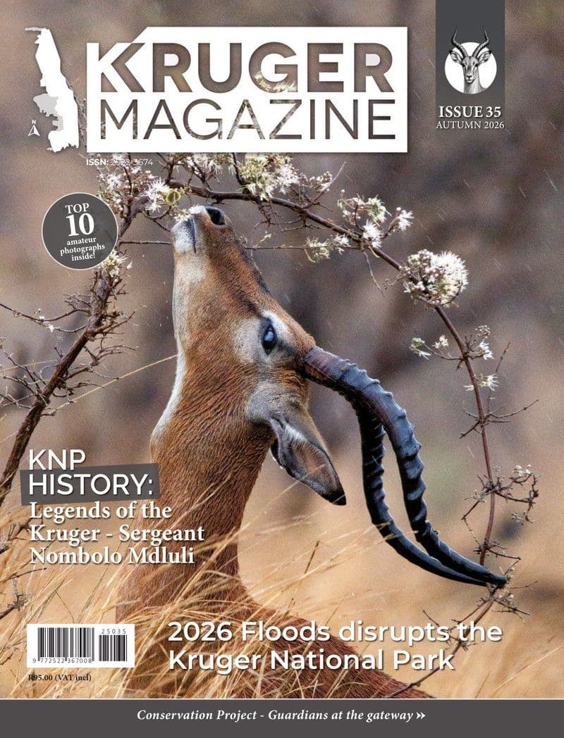 Kruger Magazine No 35 - 2026 [EN]