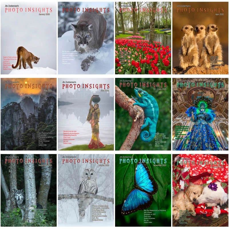 Photo Insights - 2020 Full Year 