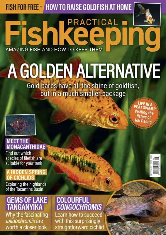 Practical Fishkeeping - September 2026