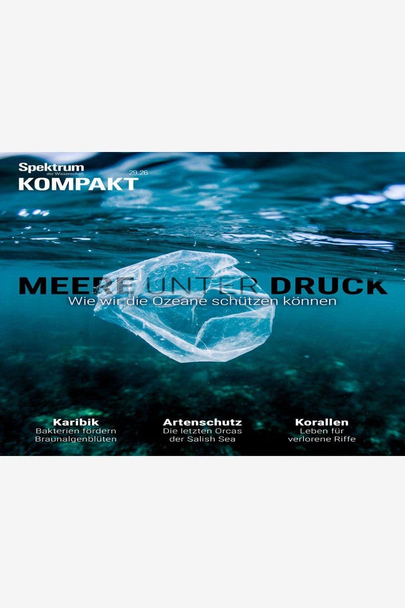 Spektrum Kompakt - German Magazine No.29, 2026 [DE]