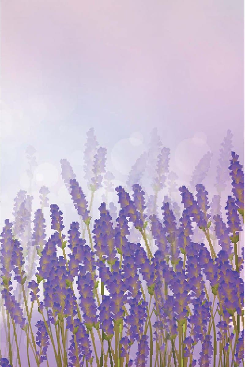 Thunder.Bay.Press.The.Romantic.Poets.2015.RETAiL.EPUB.eBook-NODE