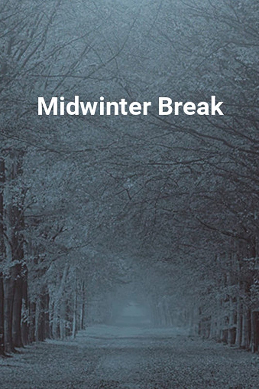 Midwinter Break 2026 1080p DUAL BluRay x264 EAC3 5 1 HdT