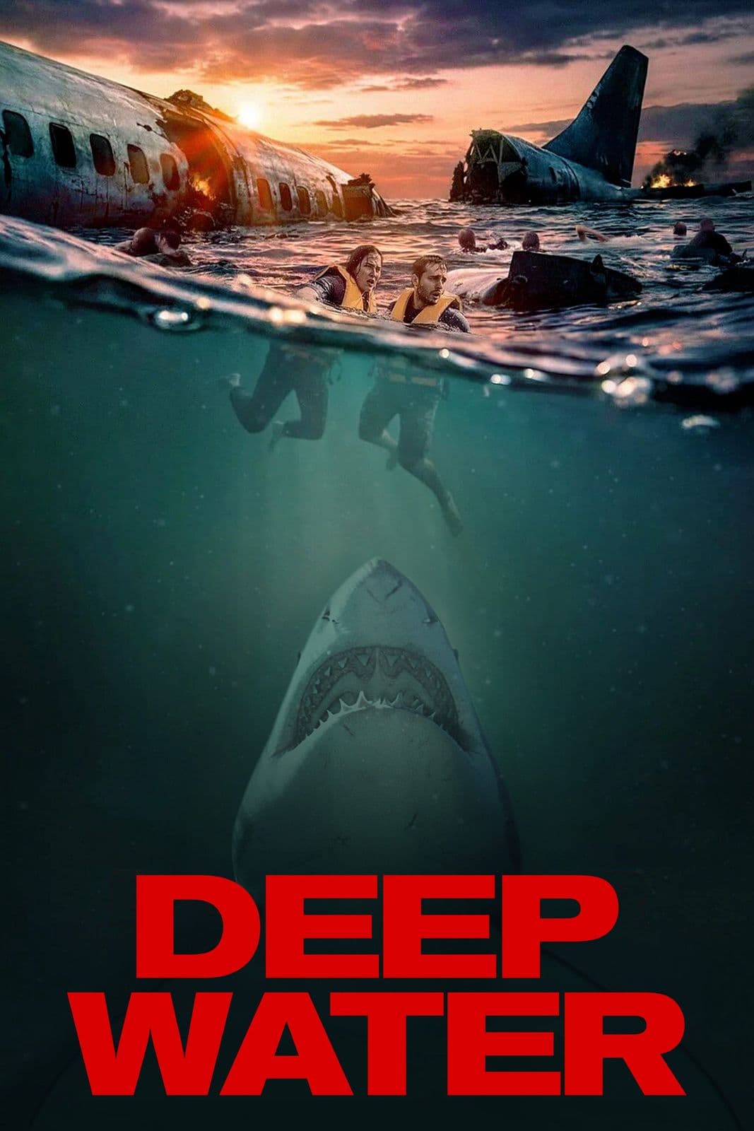 Deep Water 2026 BluRay 1080p ReMuX AVC DTS HD MA 5 1-RFX