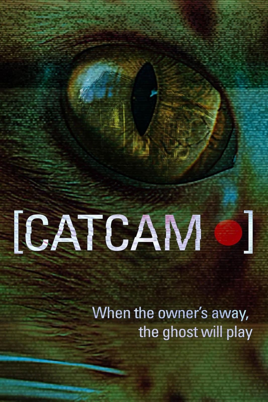 Cat Cam 2026 1080p WEB DL HEVC x265-BONE