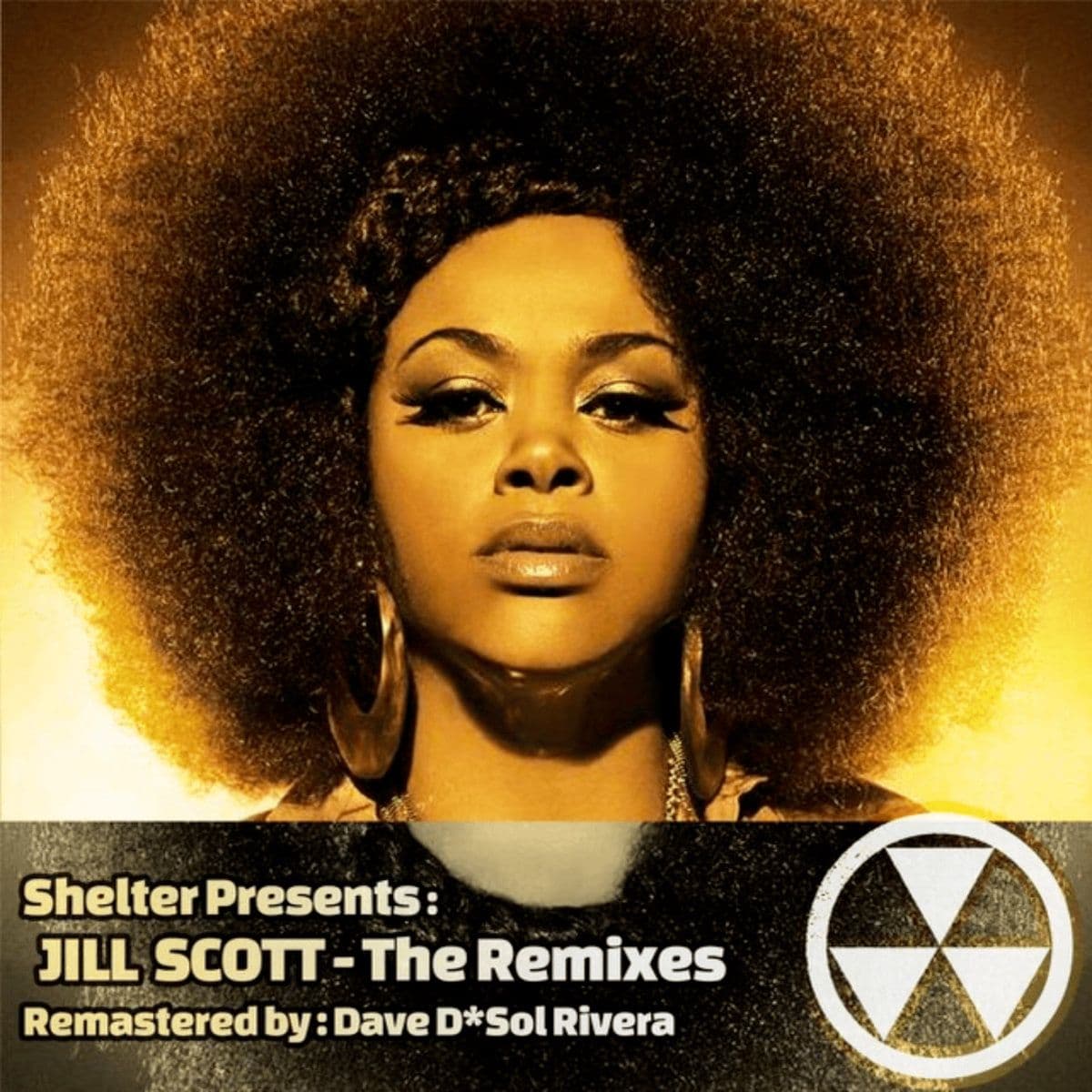 ACCESS_RECORDS-SHELTER_PRESENTS_JILL_SCOTT_THE_REMIXES-WEB-2023-BB_INT