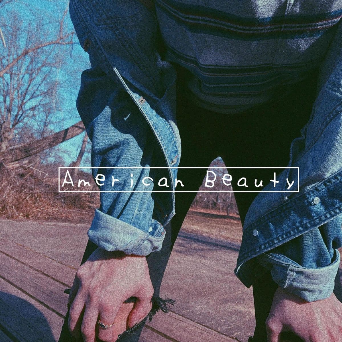 American_Beauty-American_Beauty-16BIT-WEB-FLAC-2020-SDR