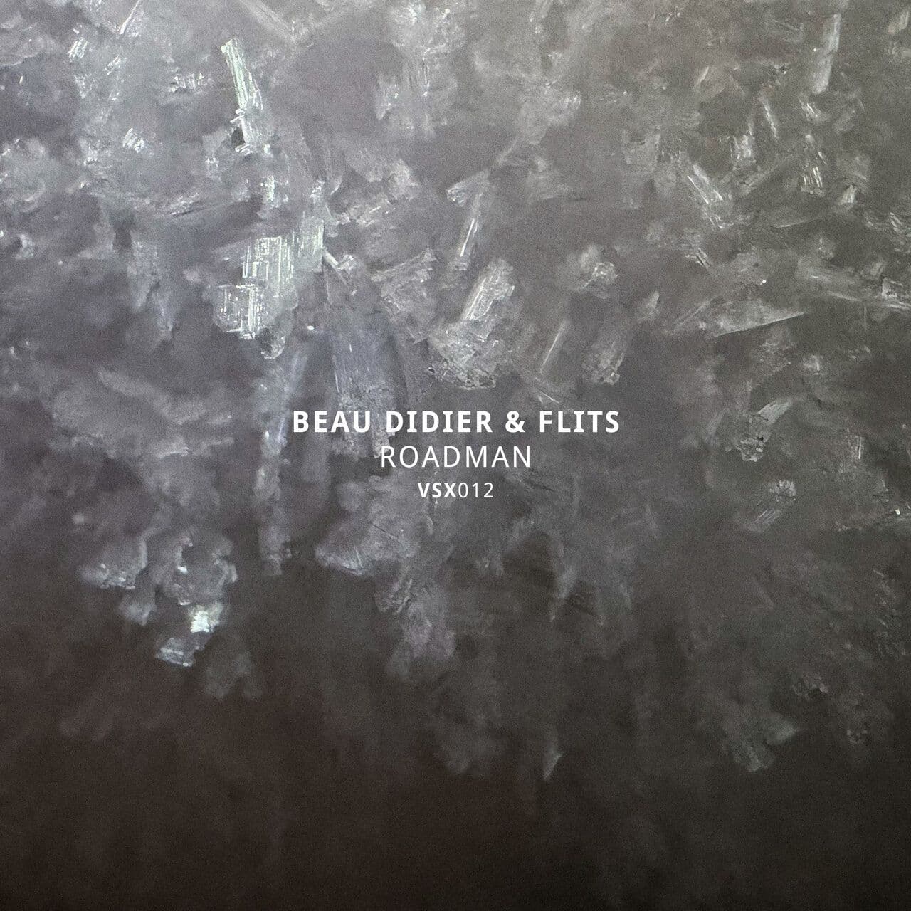 Beau_Didier_And_Flits-Roadman_EP-VSX012-24BIT-WEB-FLAC-2026-WAVED