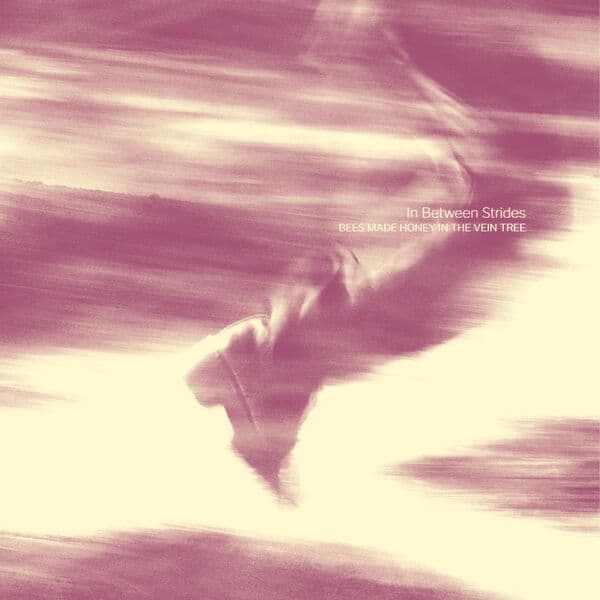 Bees_Made_Honey_In_The_Vein_Tree-In_Between_Strides-24BIT-WEB-FLAC-2026-STONERD