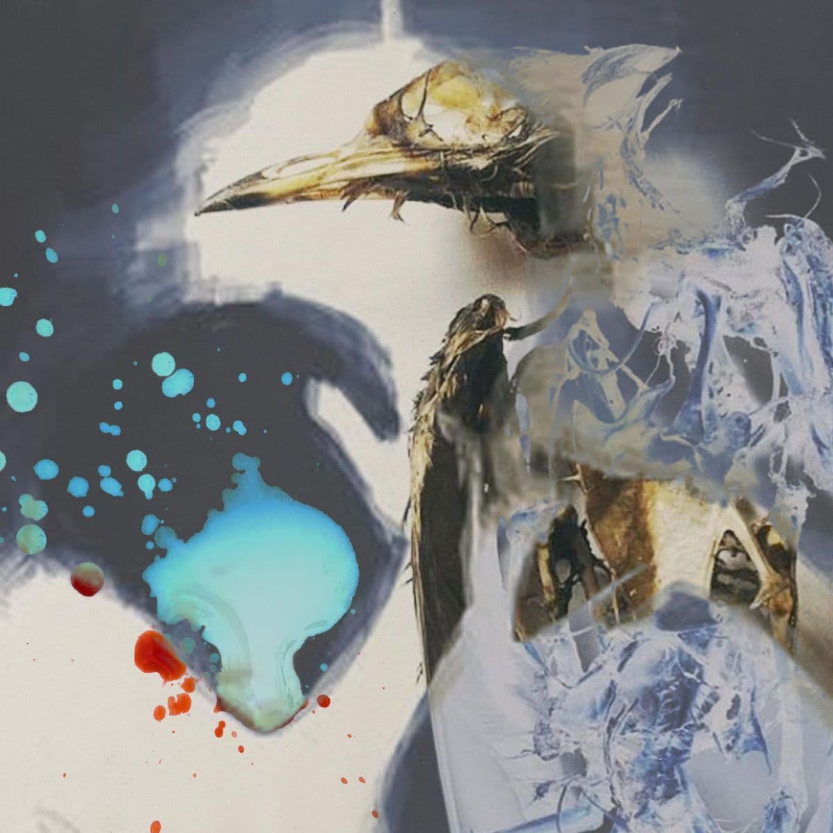 Bird_Law_Andthecanaryfell.-Fed_From_The_Mouth_Thrown_From_The_Nest-Split-16BIT-WEB-FLAC-2026-VEXED