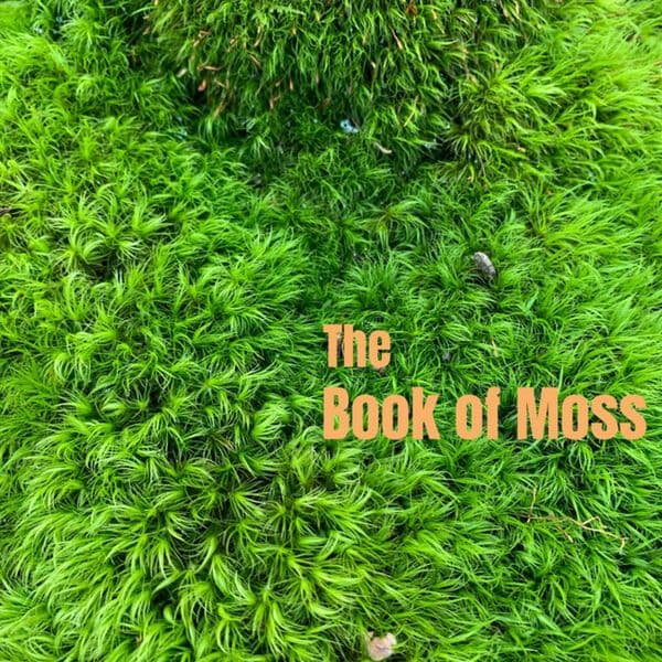 Bow_Thayer-The_Book_Of_Moss-16BIT-WEB-FLAC-2022-OBZEN