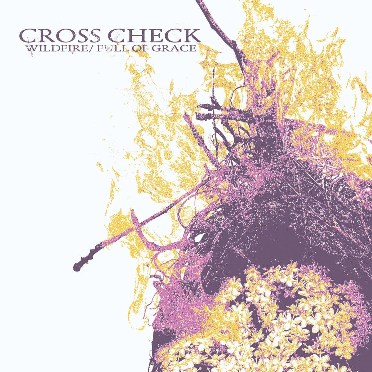 Cross_Check-Wildfire_Full_Of_Grace-16BIT-WEB-FLAC-2026-VEXED