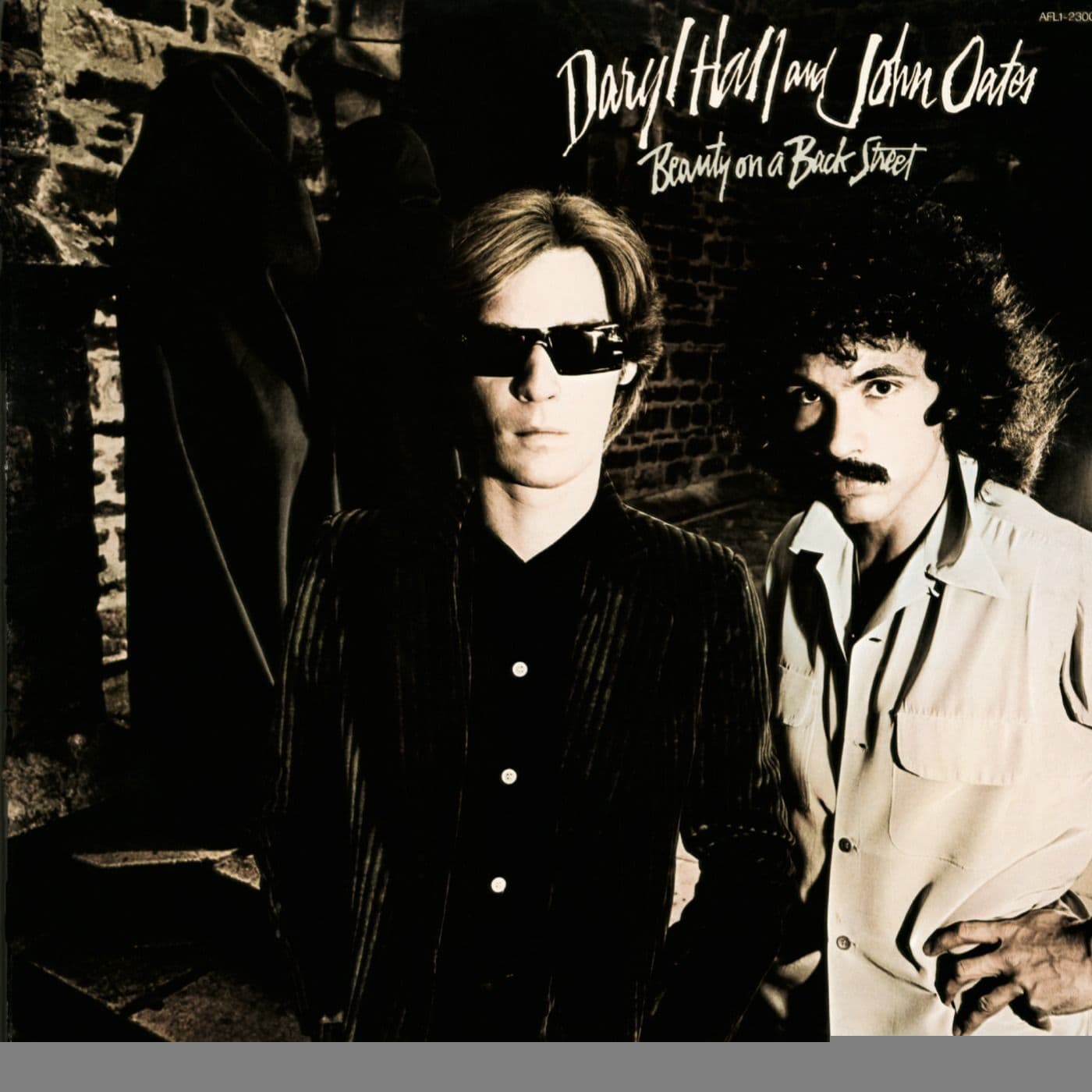 Daryl_Hall_And_John_Oates-Beauty_On_A_Back_Street-WEB-1977-MARR