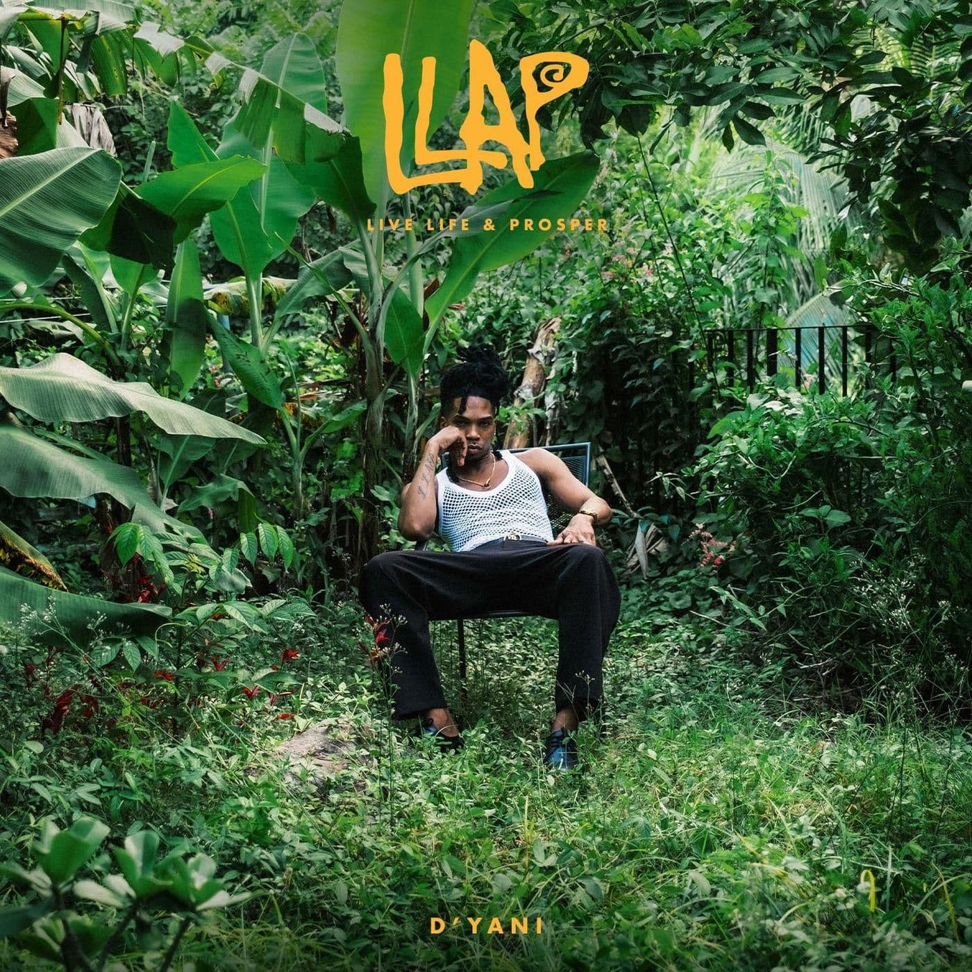 DYani-Live_Life_and_Prosper-WEB-2026-JAH