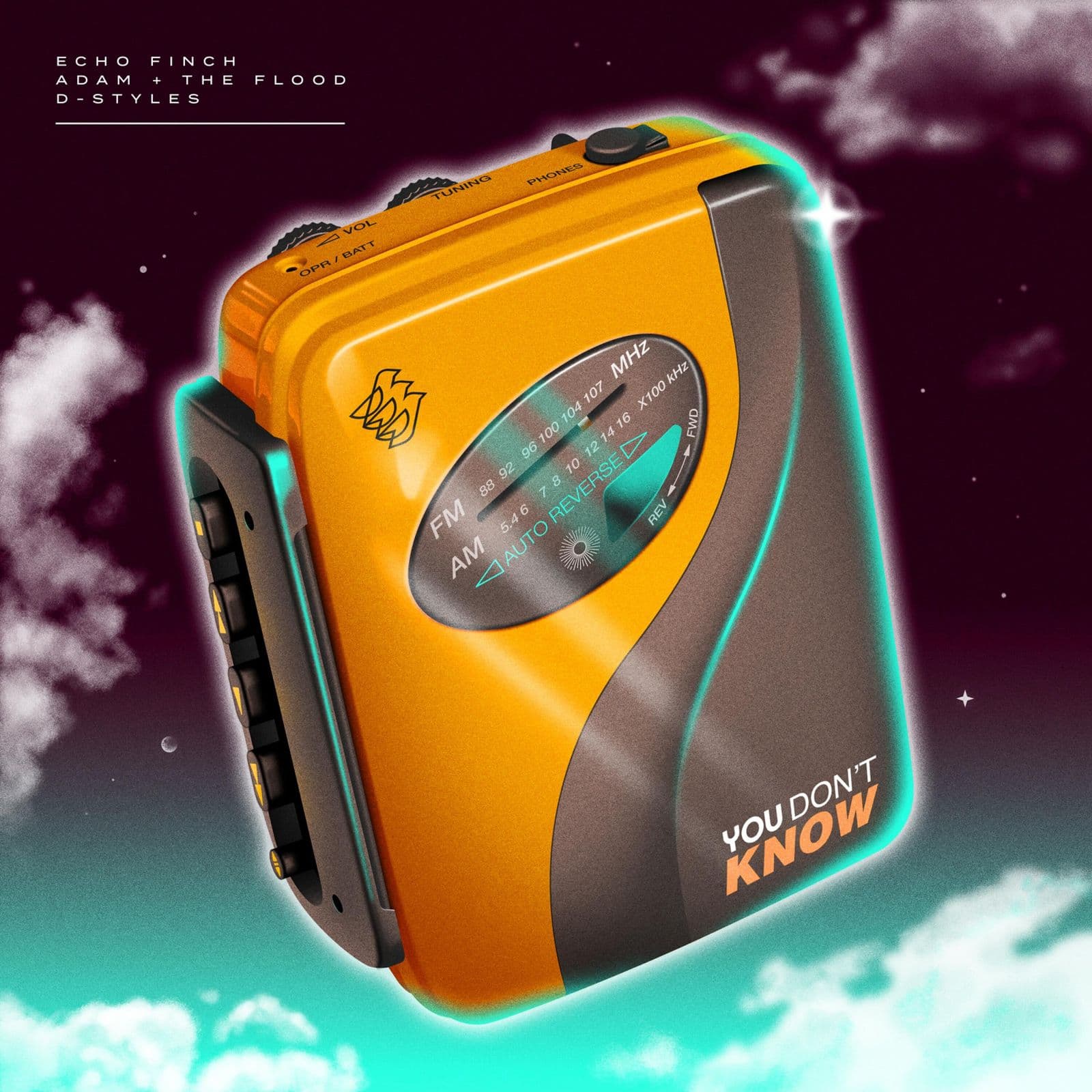Echo_Finch_x_Adam_and_The_Flood_x_D-Styles-You_Dont_Know-WEB-2024-FTD