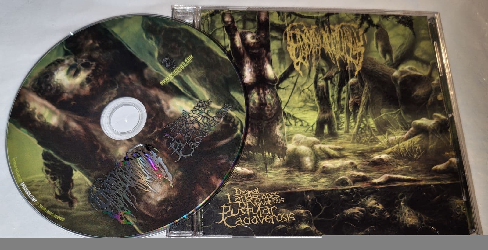 Epicardiectomy-Dismal_Landscapes_of_Voluptuous_Pustular_Cadaverosis-CD-2026-DiTCH