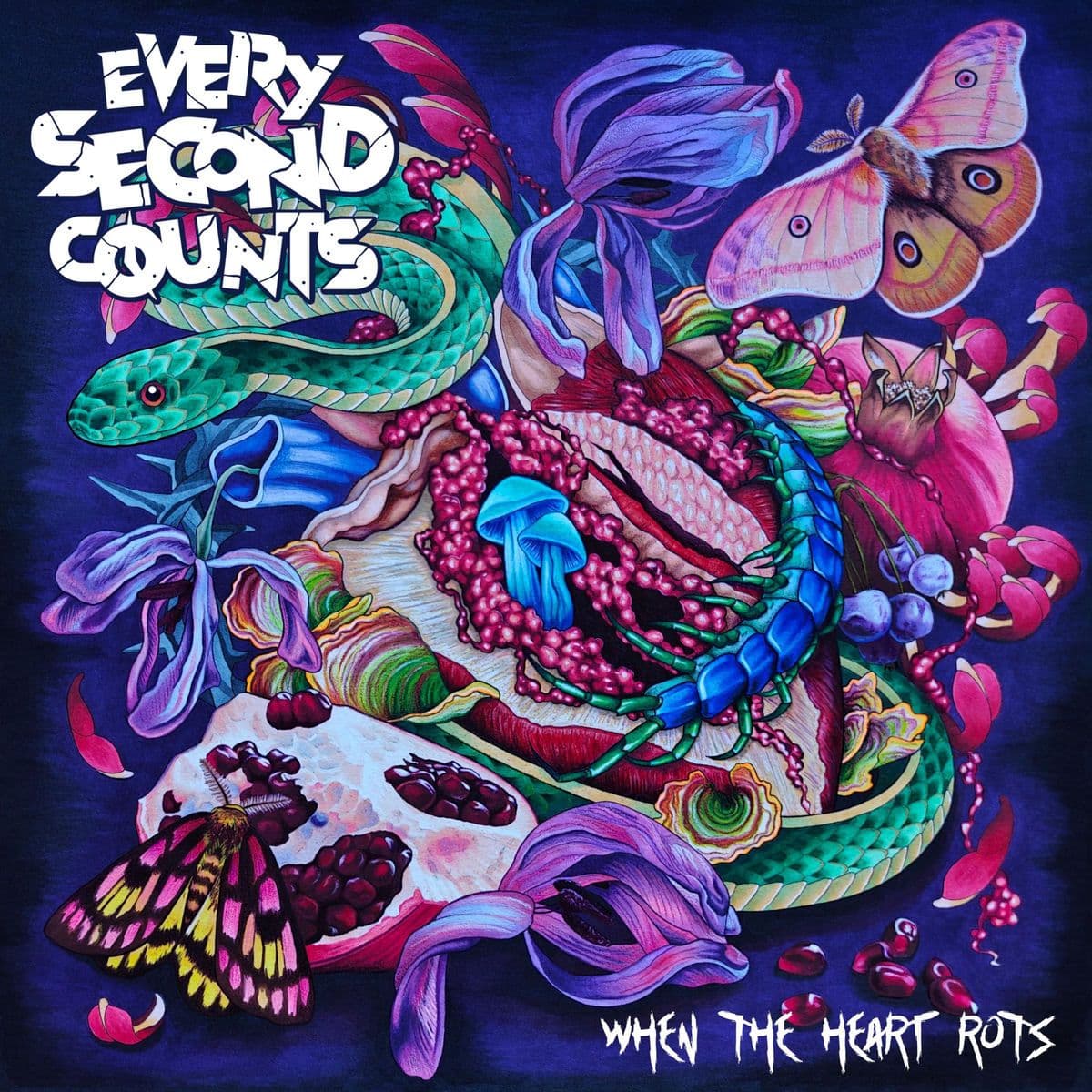 Every_Second_Counts-Math_Aint_Mathing-Single-16BIT-WEB-FLAC-2026-VEXED