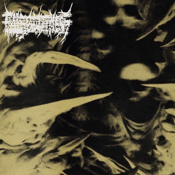 False_Witness-Severed_From_Life-24BIT-WEB-FLAC-2026-VEXED