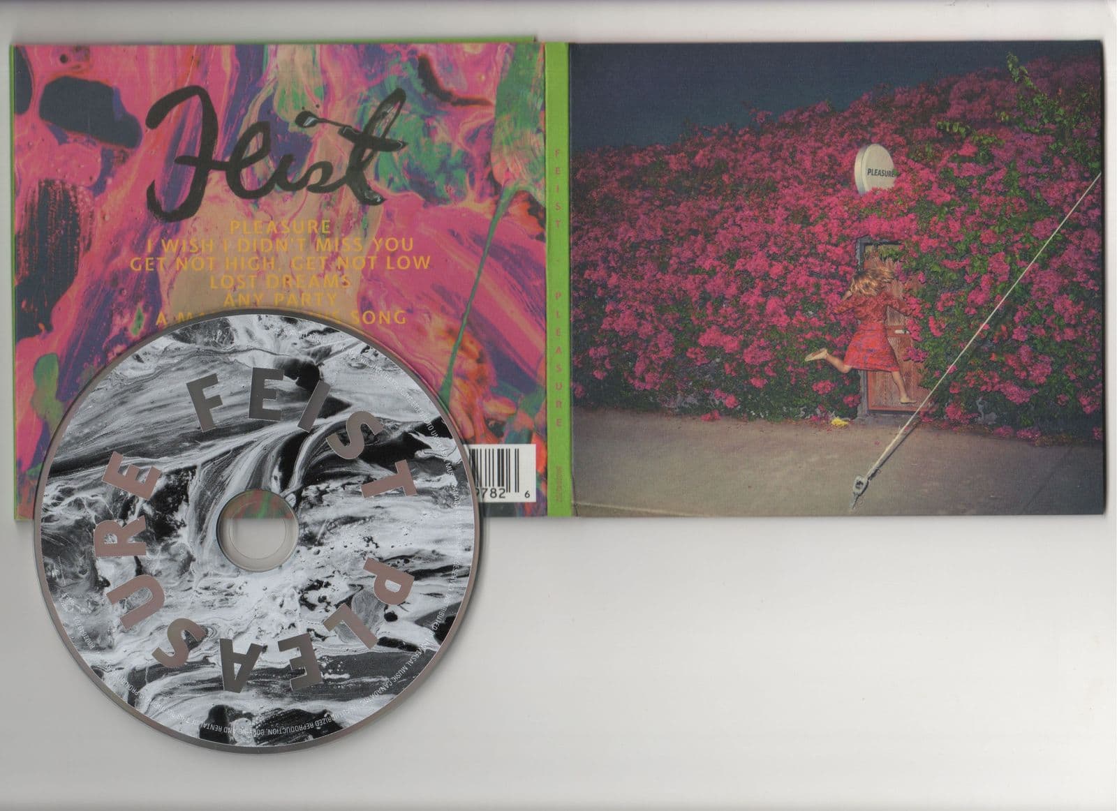 Feist-Pleasure-2017-C4