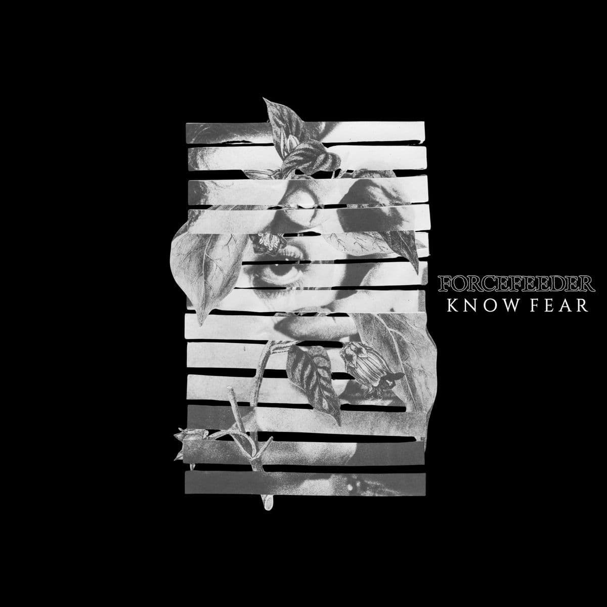 Forcefeeder-Know_Fear-16BIT-WEB-FLAC-2026-VEXED