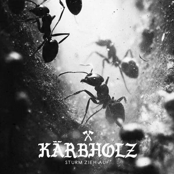 Kaerbholz-Sturm_zieh_auf-DE-16BIT-WEB-FLAC-2026-JADED