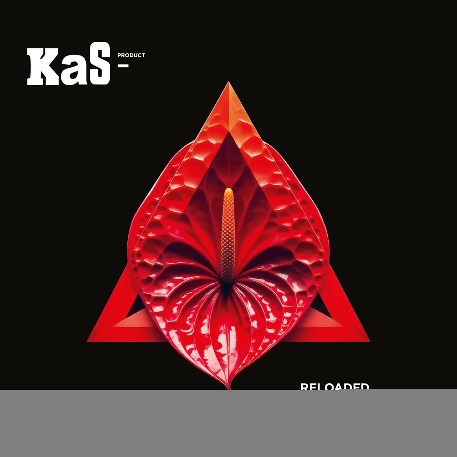 Kas_Product-Reloaded-WEB-2025-MARR