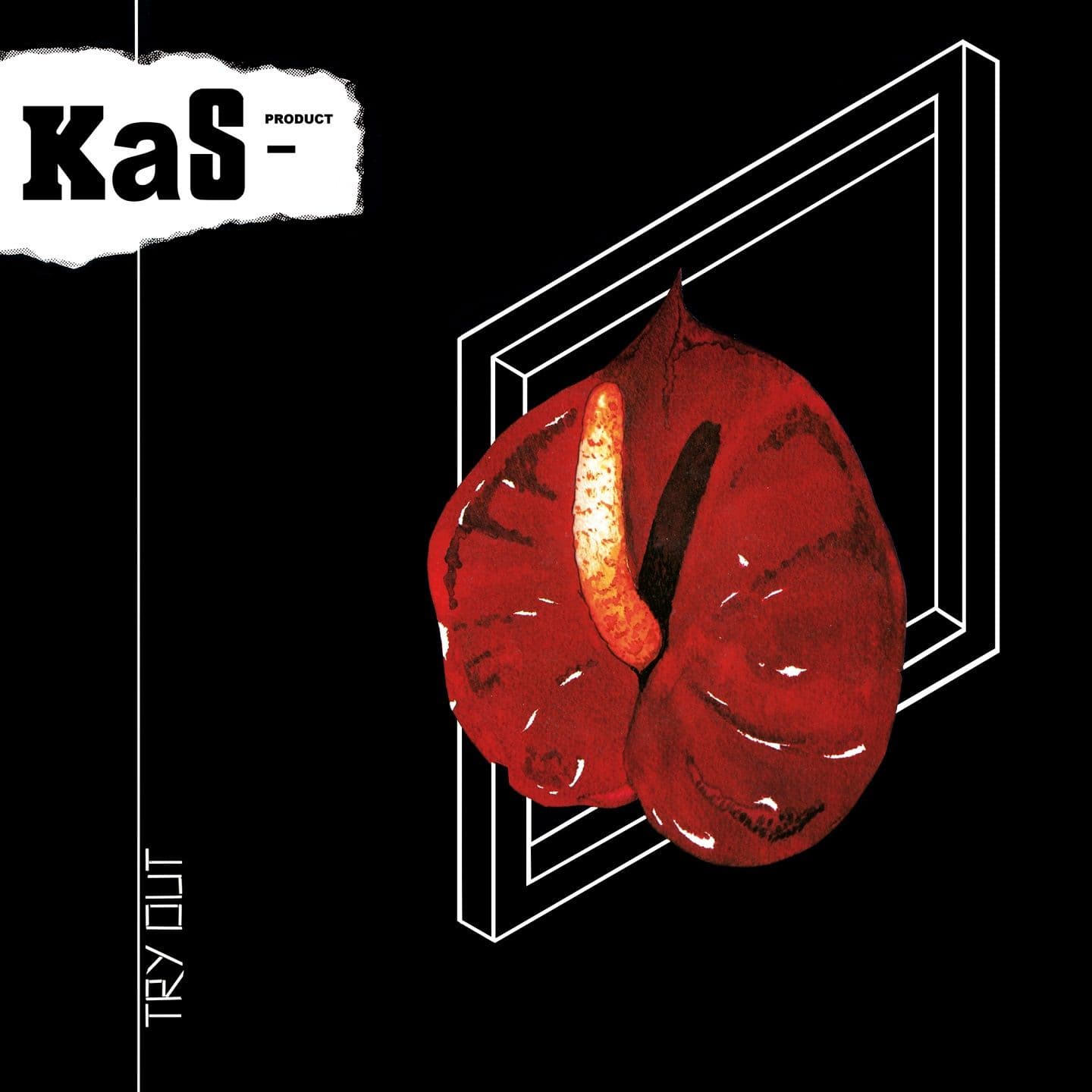 Kas_Product-Try_Out-16BIT-WEB-FLAC-1982-LSM