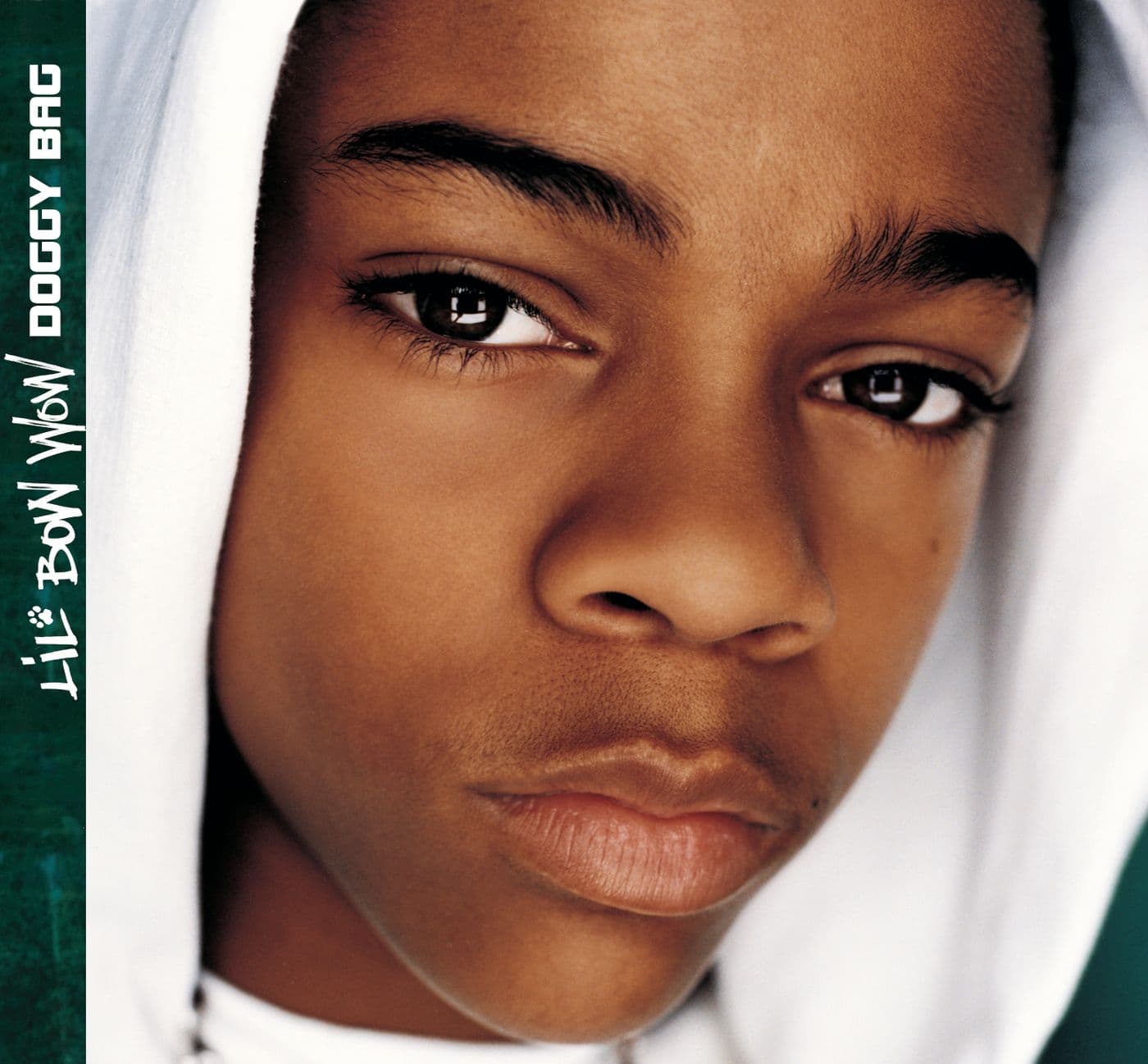 Lil_Bow_Wow-Doggy_Bag-16BIT-WEB-FLAC-2001-LSM