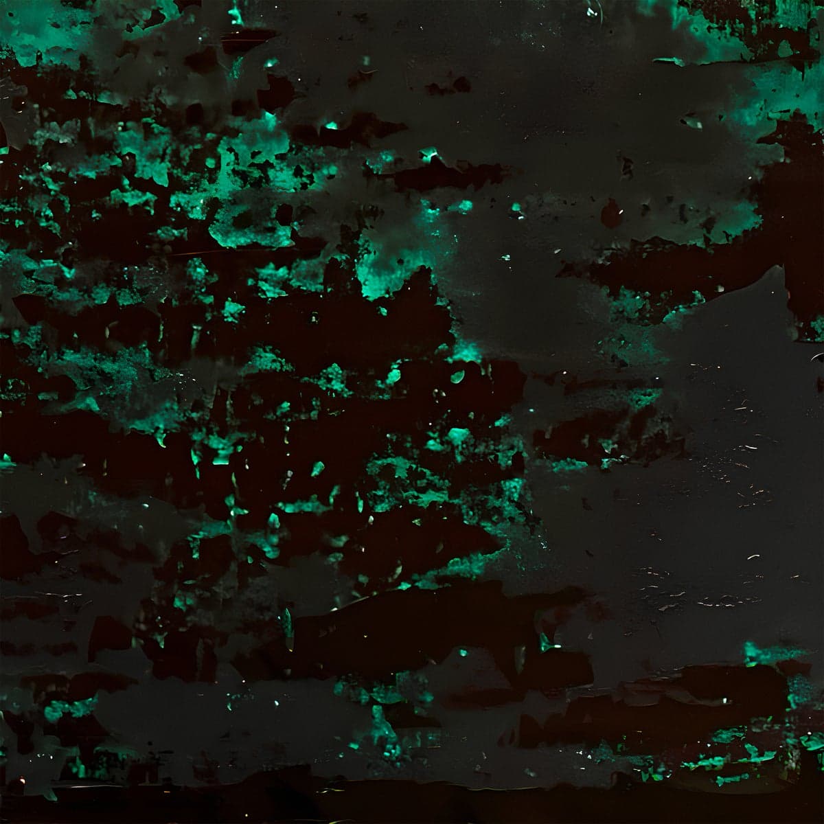 Organic_Born_System-Enchantement_Pt_1-AM038D-16BIT-WEB-FLAC-2026-WAVED