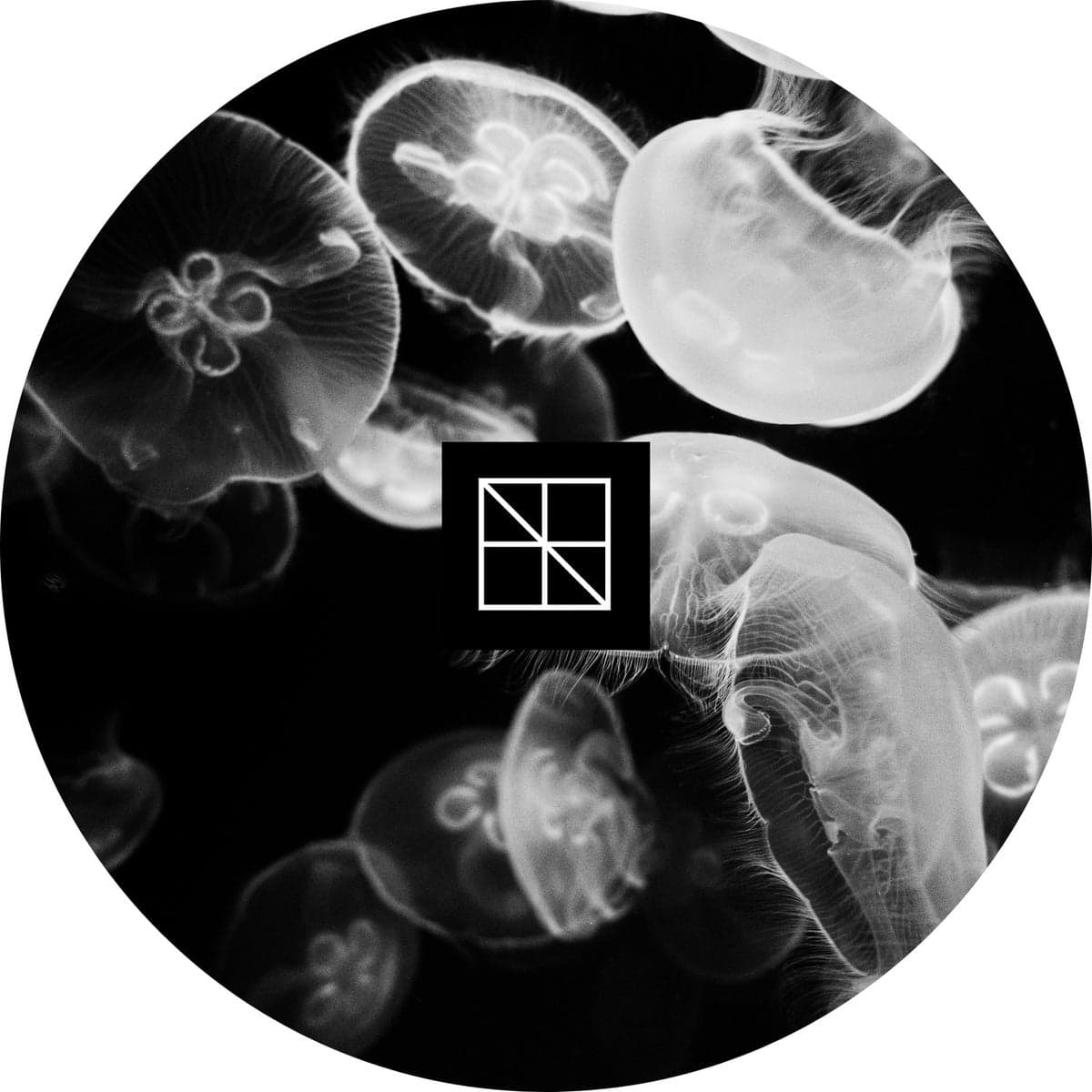 Stijn_Vanmarsenille-Underneath_The_Sea_Lies_An_Ocean_Part_2-BST032-16BIT-WEB-FLAC-2026-WAVED