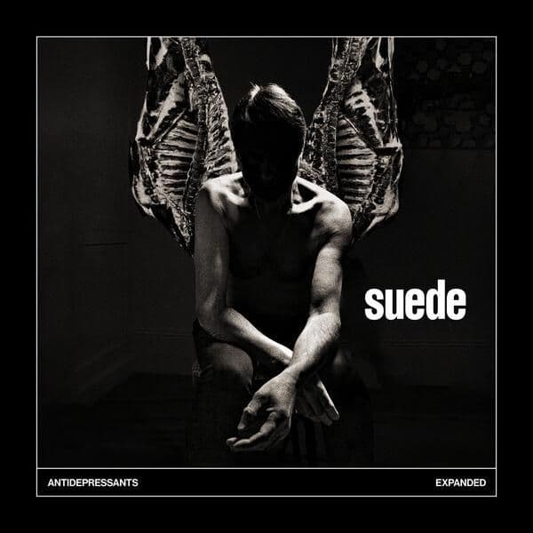 Suede-Antidepressants_Expanded-24BIT-WEB-FLAC-2026-ENViED