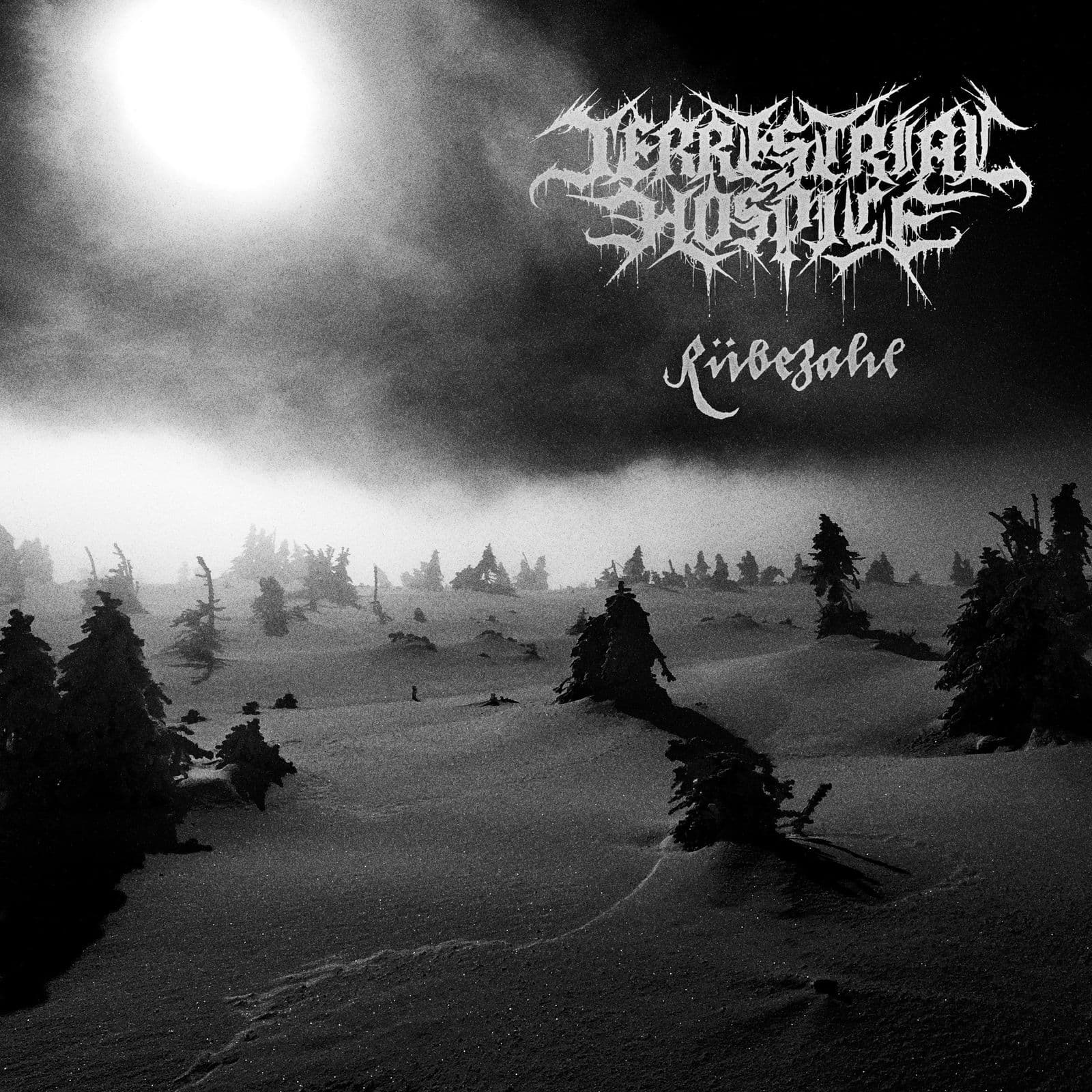 Terrestrial_Hospice-Ruebezahl-EP-WEB-2024-BLEEDiNG