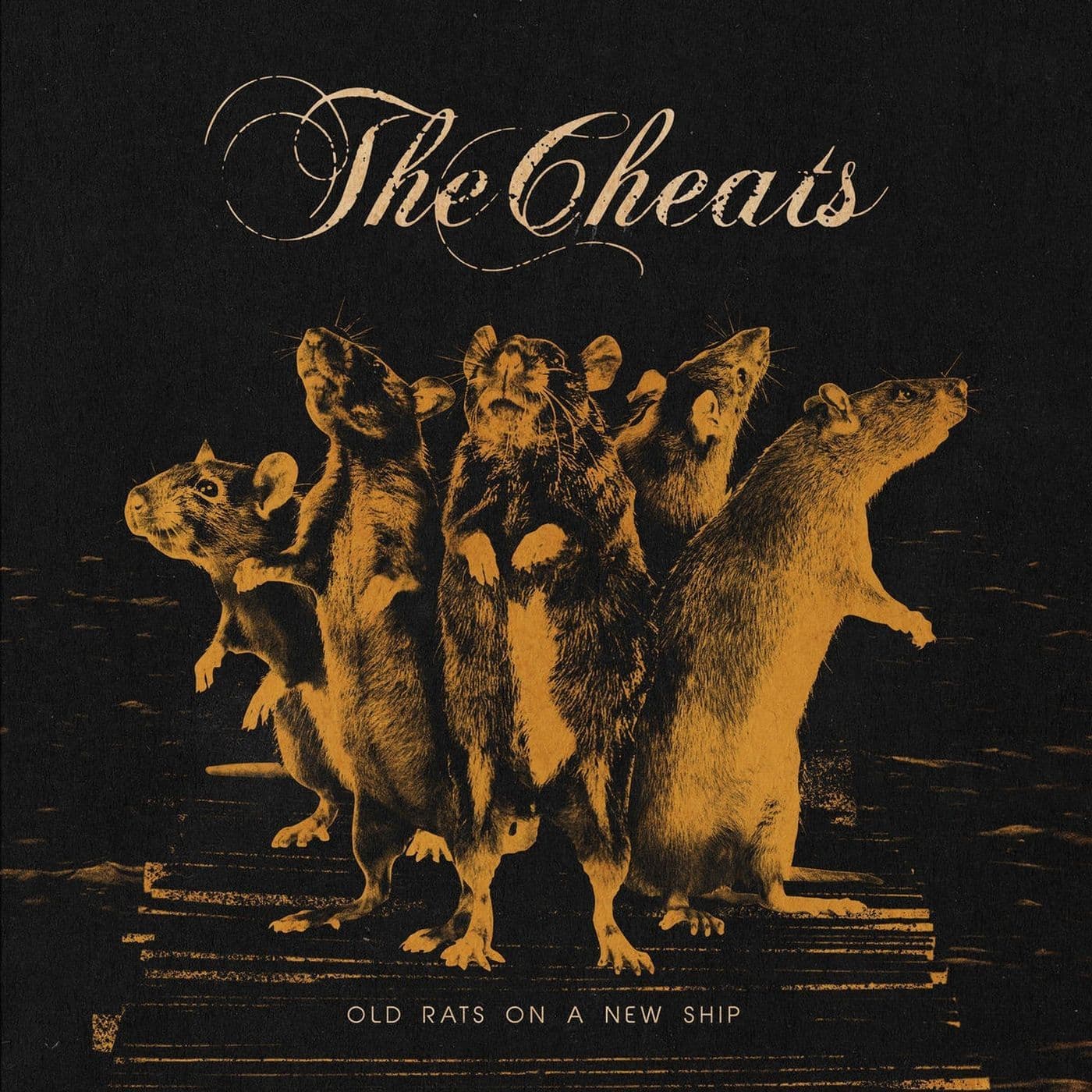 The_Cheats-Old_Rats_On_A_New_Ship-WEB-2025-SDR