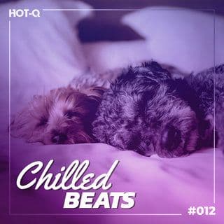 VA-Chilled_Beats_012-16BIT-WEB-FLAC-2021-ROSiN