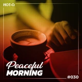 VA-Peaceful_Morning_030-16BIT-WEB-FLAC-2023-RAWBEATS
