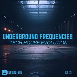 VA-Underground_Frequencies_Tech-House_Evolution_Vol._21-16BIT-WEB-FLAC-2026-PWT