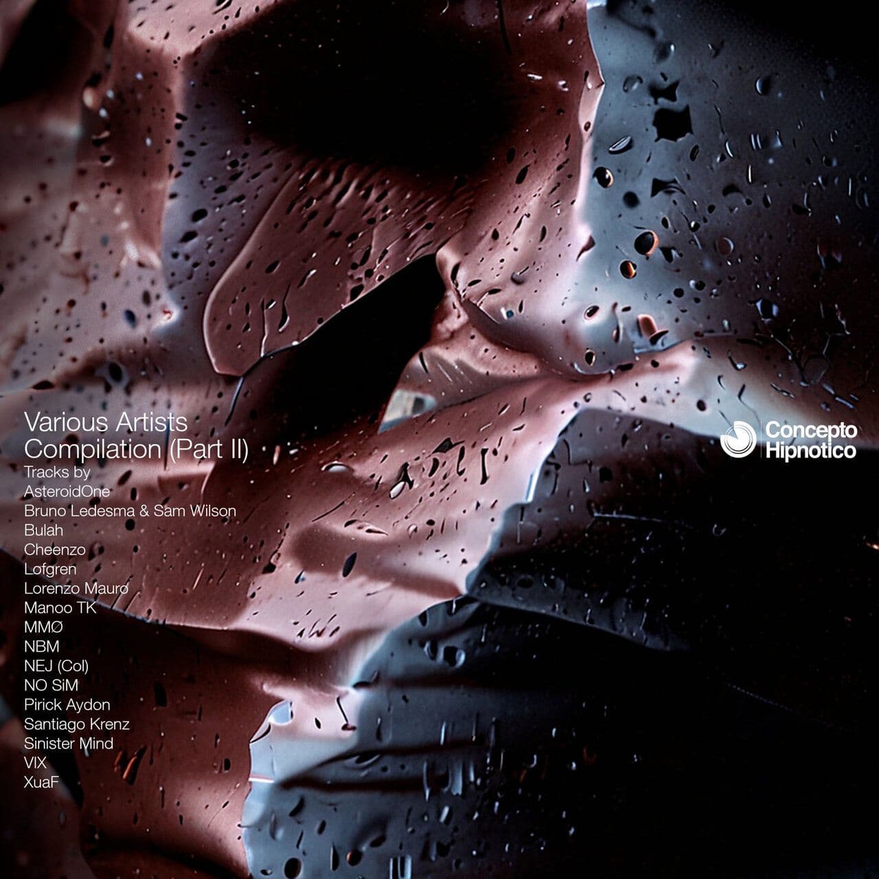 VA-Various_Artists_Compilation_Vol_2-CHR359-16BIT-WEB-FLAC-2026-WAVED
