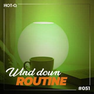 VA-Wind_Down_Routine_051-16BIT-WEB-FLAC-2026-PWT