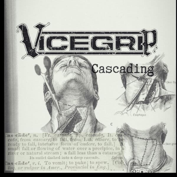 Vicegrip_617-Cascading-Single-WEB-2026-FiH