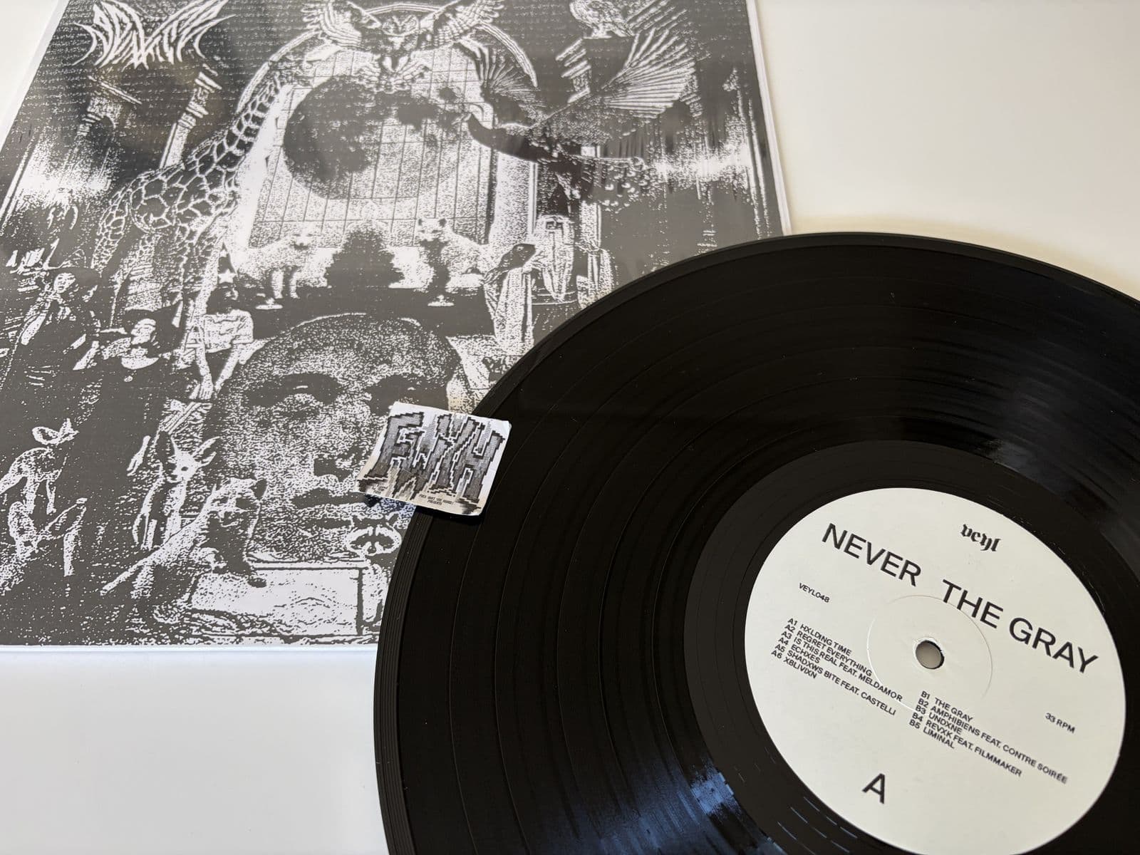 NEVER-The_Gray-Limited_Edition-VINYL-2026-FWYH
