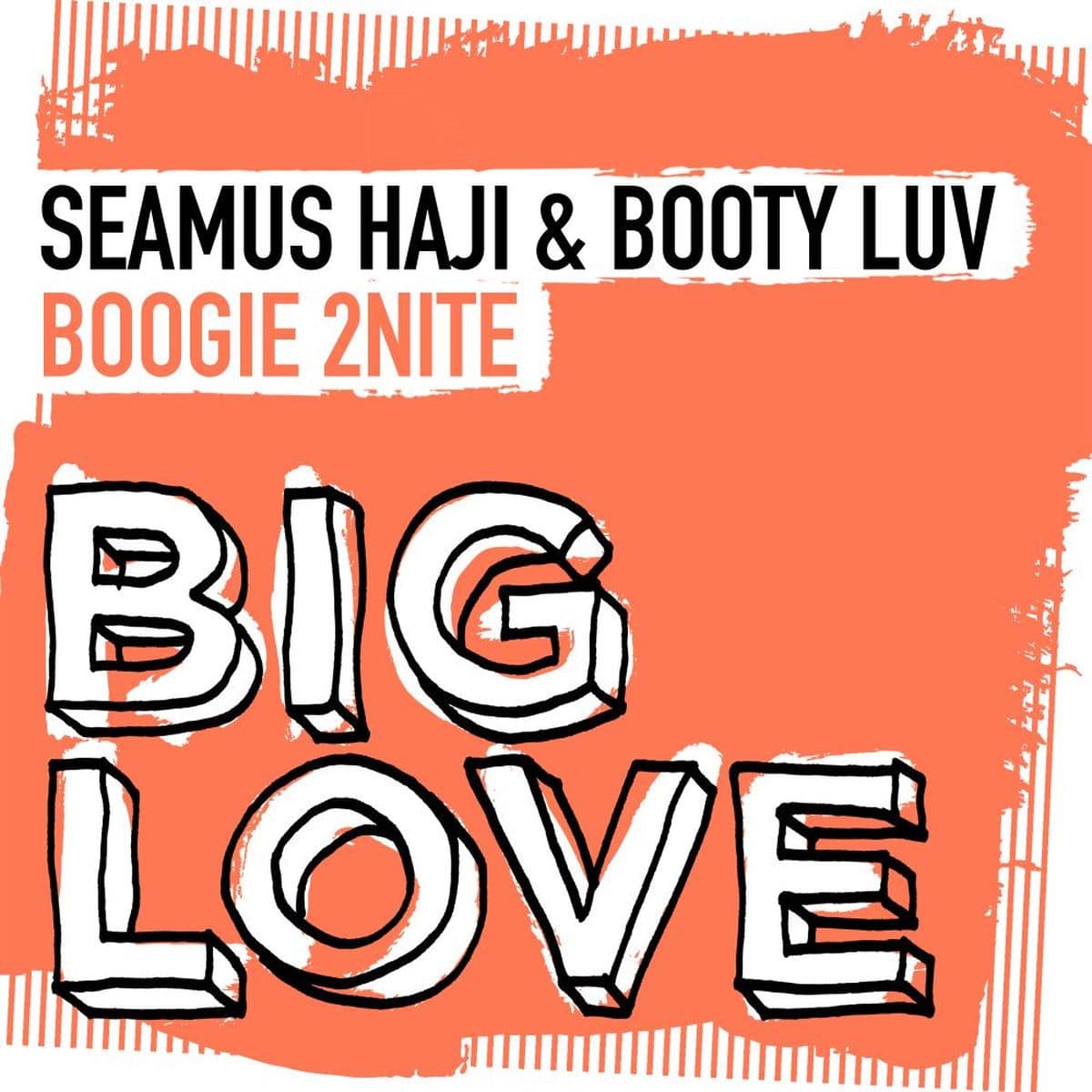 Seamus_Haji_And_Booty_Luv_-_Boogie_2nite-WEB-2026-iDC
