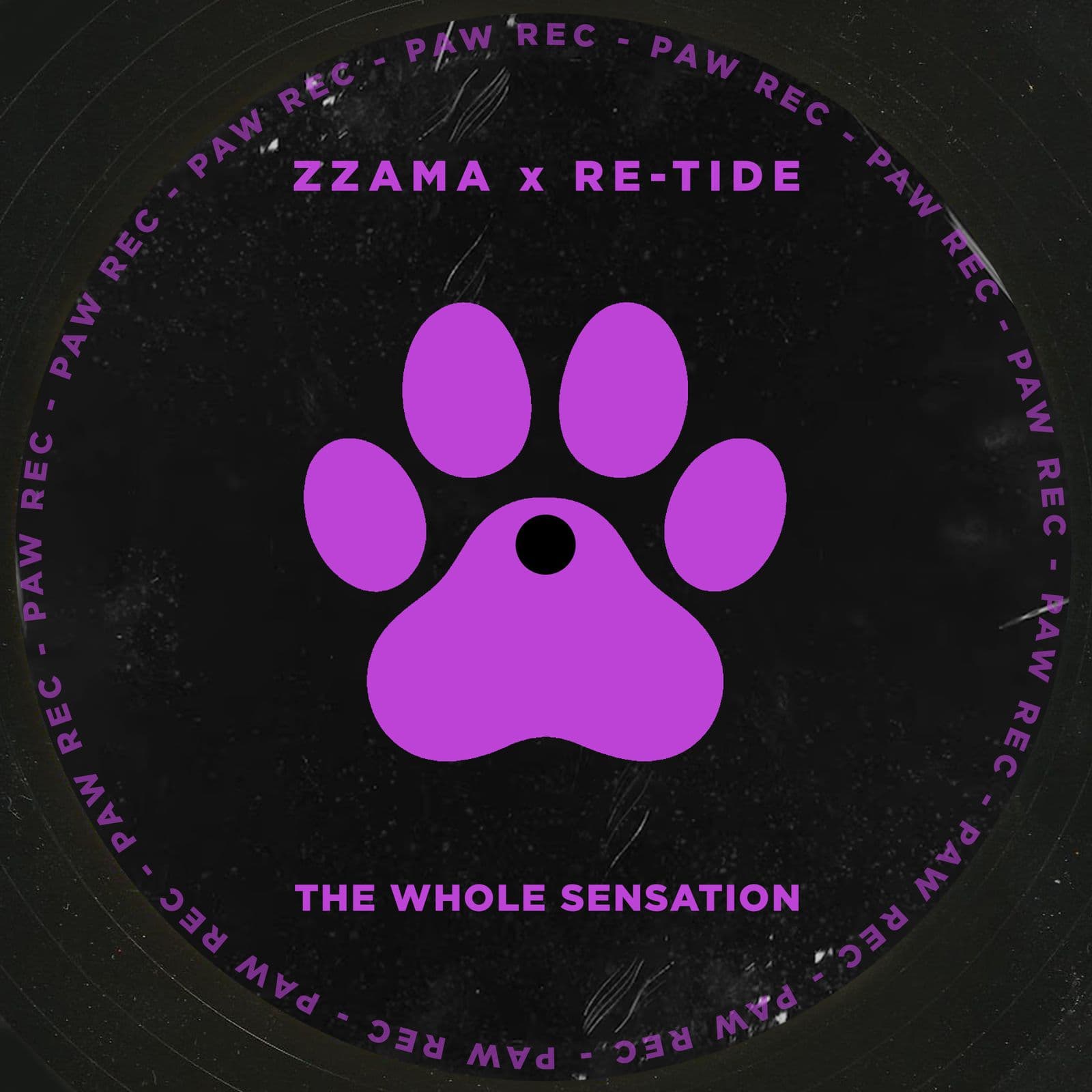 Zzama_And_And_Re-Tide_-_The_Whole_Sensation-WEB-2026-iDC