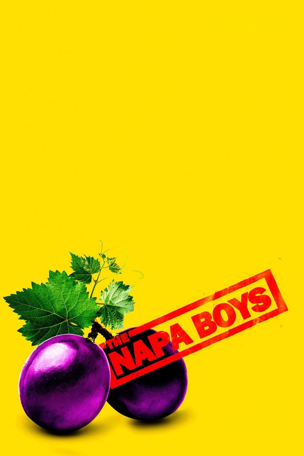 The Napa Boys 2025 1080p AMZN WEB DL DD 5 1 H 264-playWEB