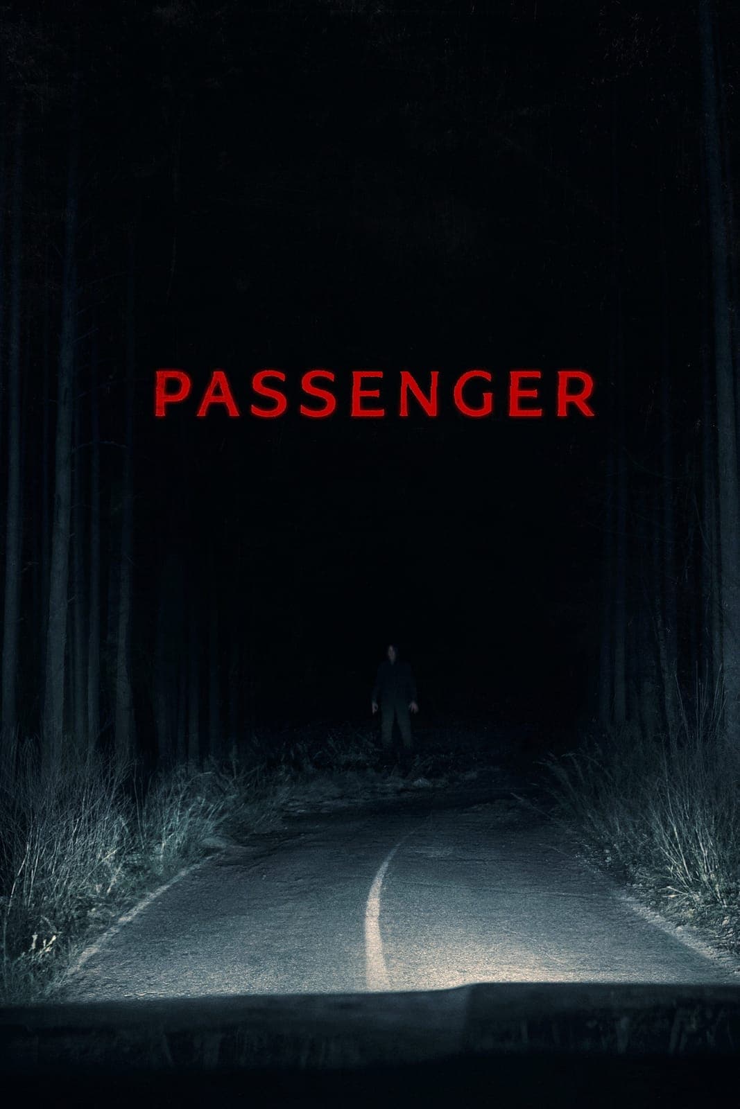 Passenger 2026 NORDiC 1080p WEB DL H 264 DDP5 1-ADDICTION