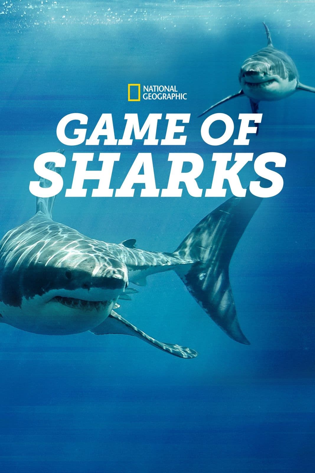 Game of Sharks 2022 1080p DSNP WEB DL DDP5 1 H 264-Kitsune