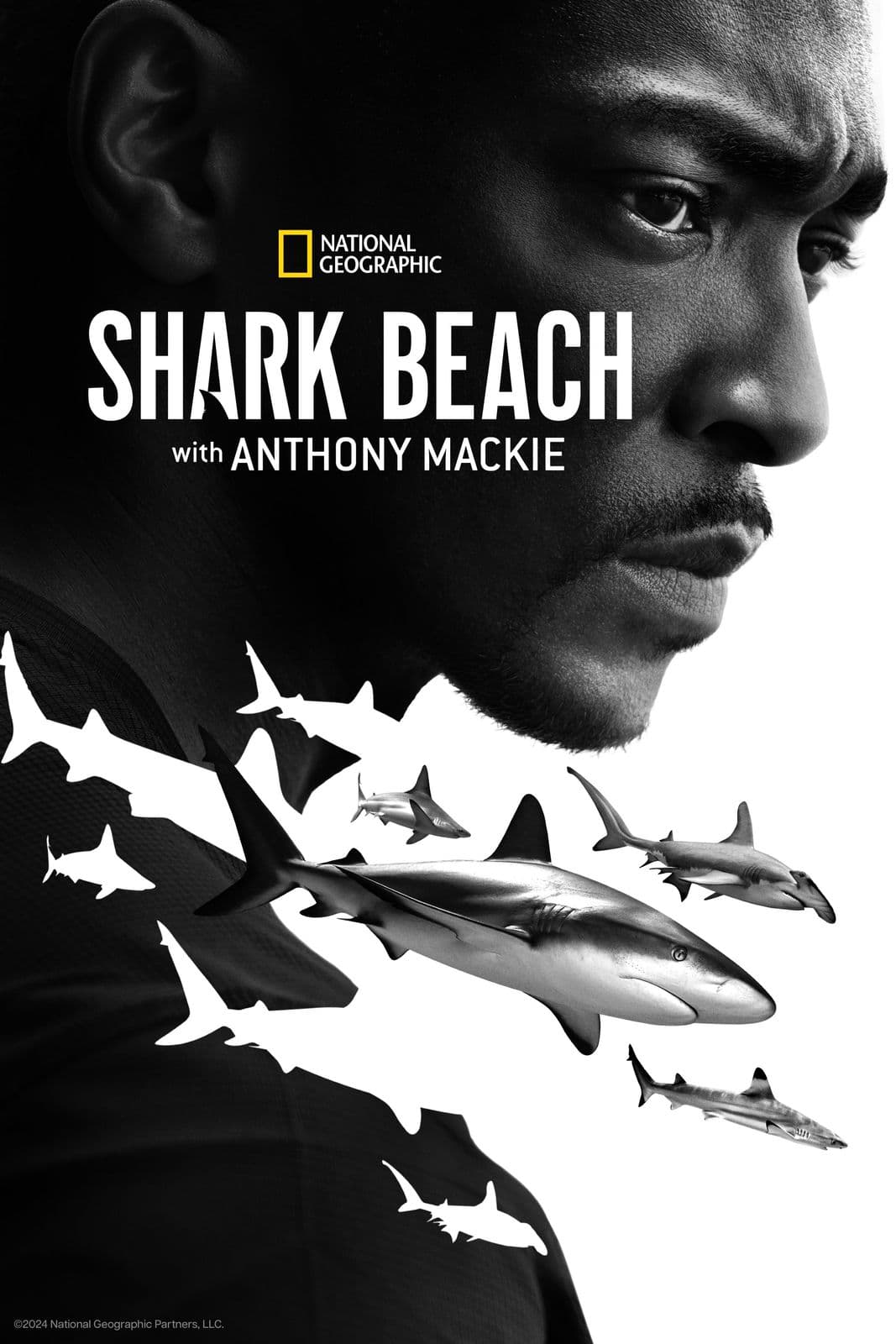 Shark Beach With Anthony Mackie 2024 NORDiC 2160p DSNP WEB DL HDR H 265-NORViNE