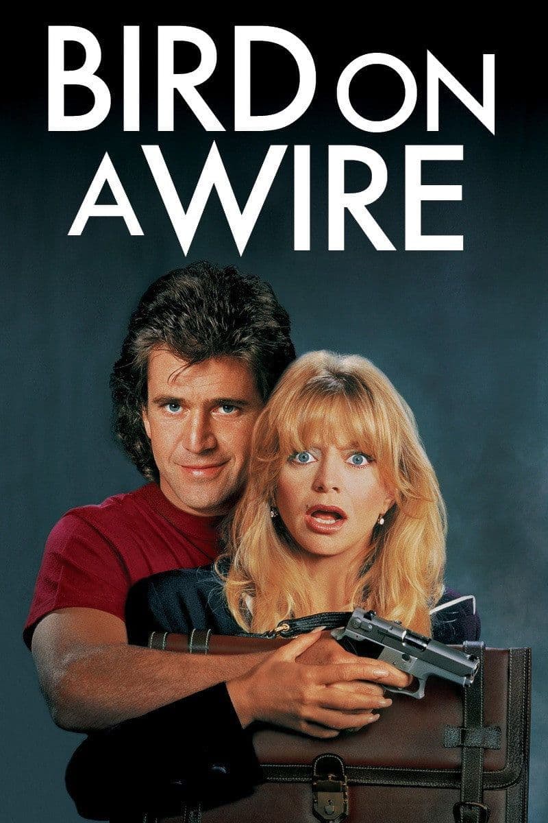Bird on a Wire 1990 1080p AV1 10bit-DKong